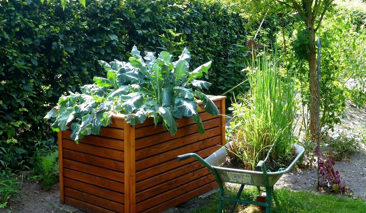 Creating a Cosy Seating Nook Among Garden Plants