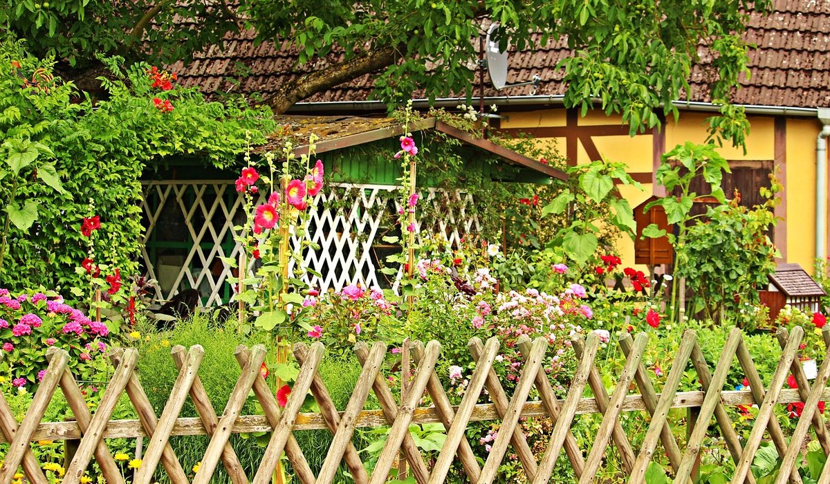 Creating a Wildlife Pond in a Modest Back Garden