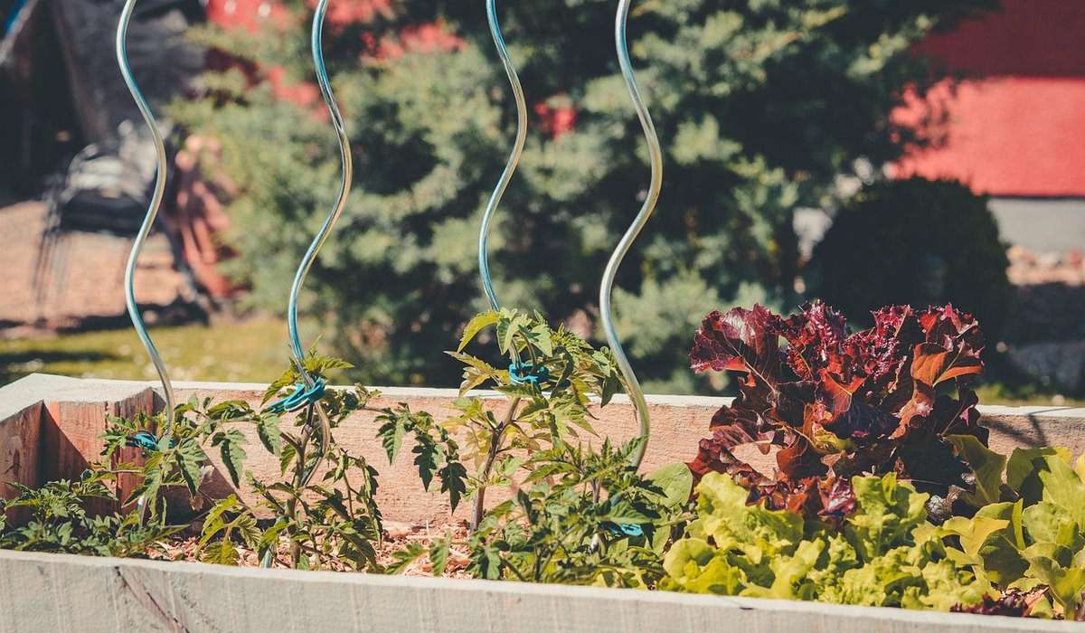 Making the Most of a Narrow Side Return Garden